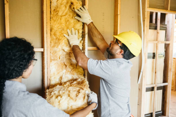 Best Blown-In Insulation  in Statesboro, GA