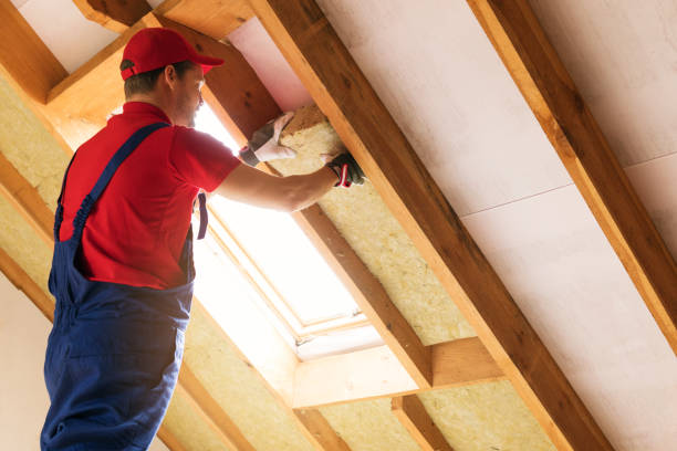 Types of Insulation We Offer in Statesboro, GA